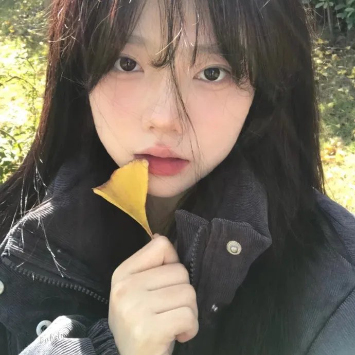 天鹅公主